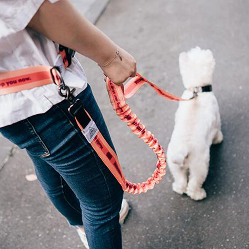 Running Jogging Gear - Tali Anjing Bebas Genggam Dapat Disesuaikan