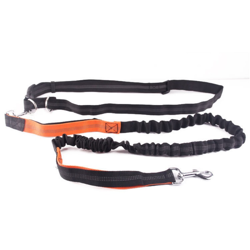 Tali Anjing Bebas Genggam untu - Running Jogging Gear ulasan dan harga